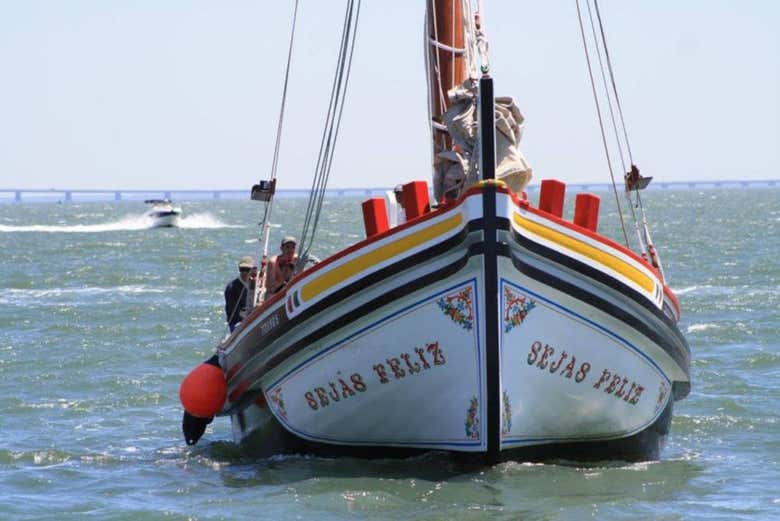 Barco tradicional por el río Tajo
