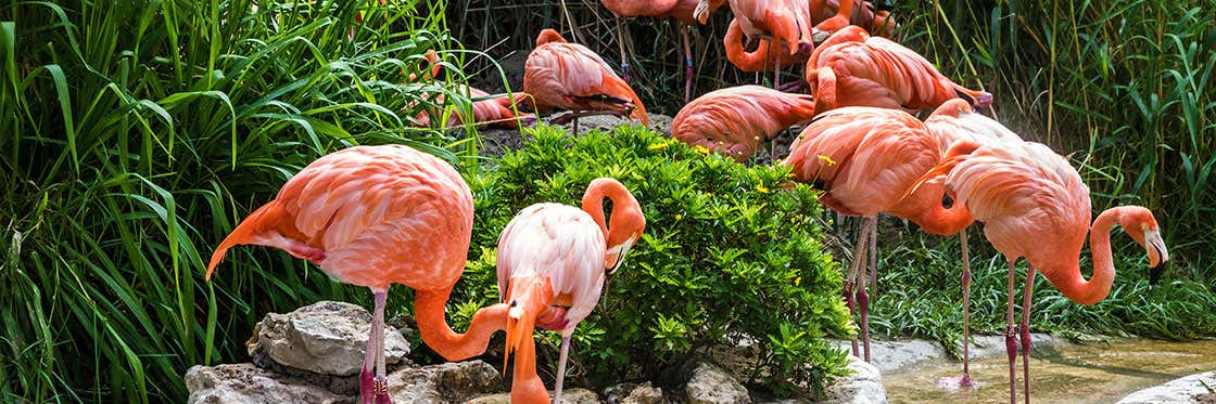 Jardín Zoológico de Lisboa