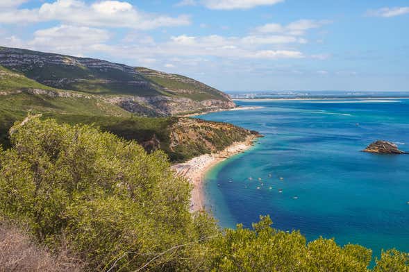 Tour por Arrábida + Cata de vinos